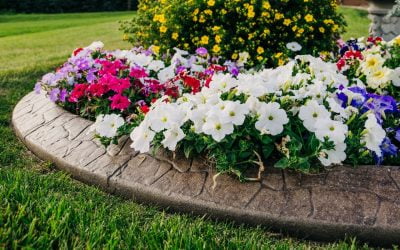 Design Your Dream Yard: Hardscaping Inspiration