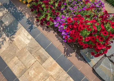 Colorful flowers blooming beside a stone walkway, with sunlight casting soft shadows—an inviting hardscaping feature, perfect for Aberdeen gardens.