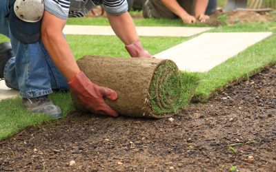 Seasonal Landscaping Tips: How to Keep Your Yard Looking Great All Year Long