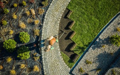 Landscaping Design in Maryland: How to Turn Your Boring Yard into a Backyard Oasis